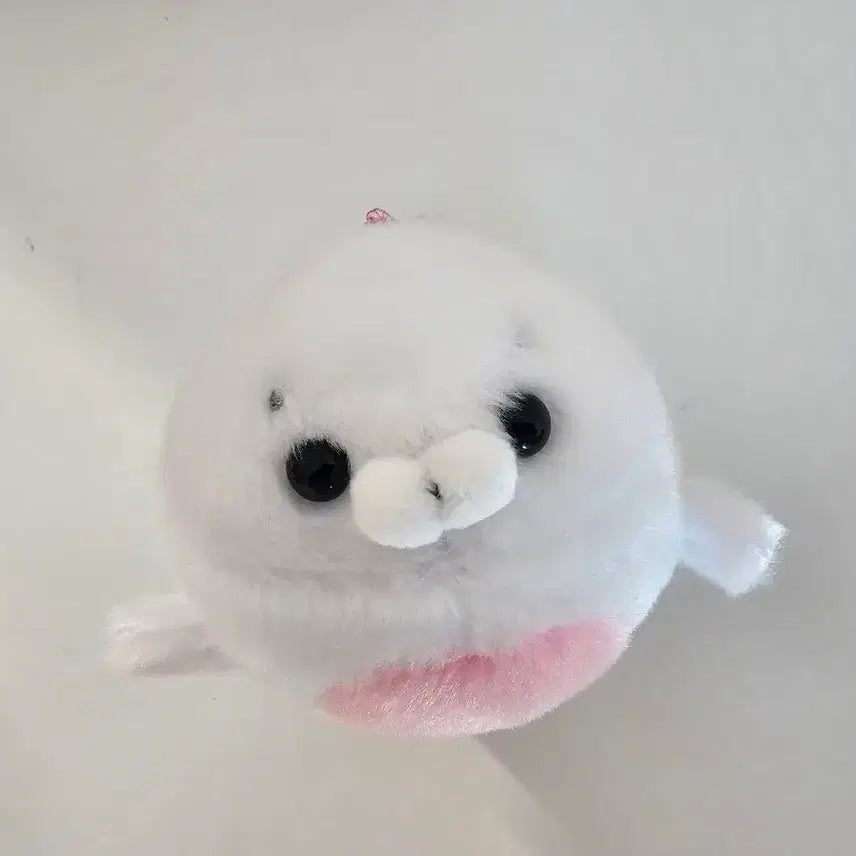 [BUNJANG] Angel Love You Half Seal Plush Keychain / 엔젤러브유우 하프 물범 인형 키링