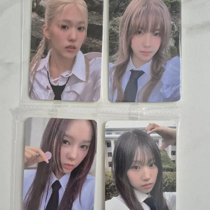 [BUNJANG] Izna Ketapho POB Bundle Set / [4장일괄]이즈나 케타포 미공포 판매