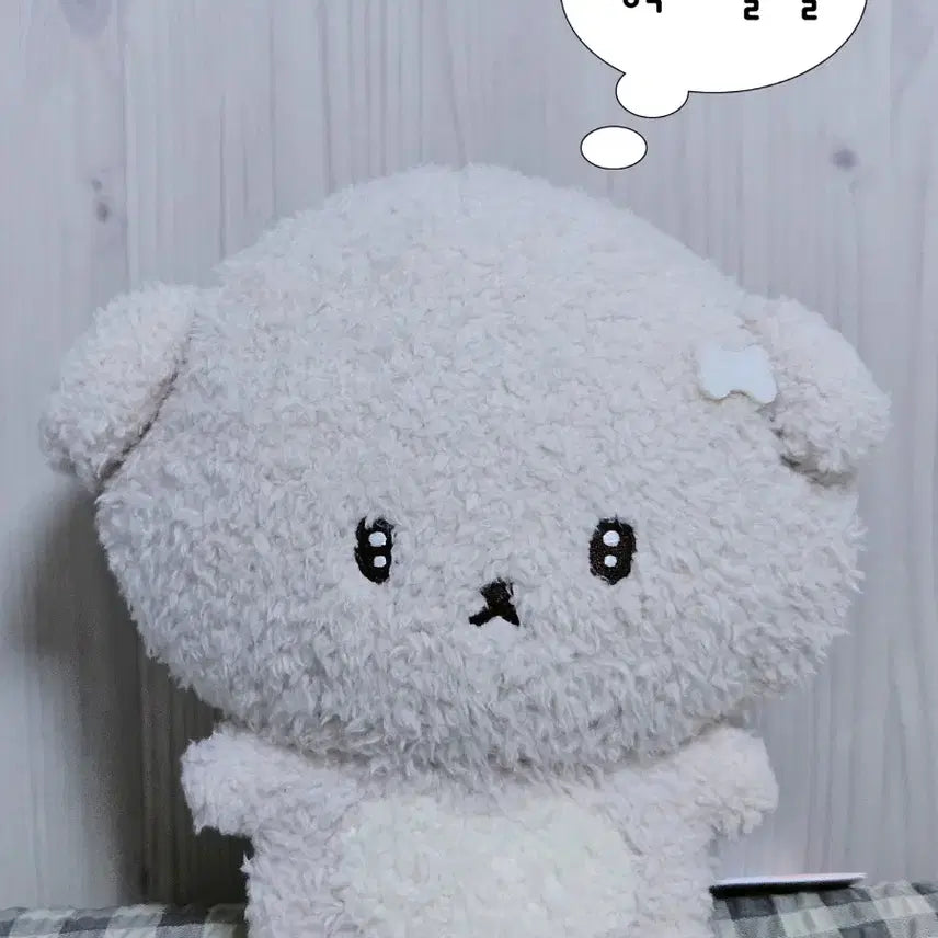 [BUNJANG] San-X Shiiya-chan Medium Plush / 산엑스 이시요와짱 중형 봉제 인형
