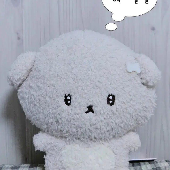 [BUNJANG] San-X Shiiya-chan Medium Plush / 산엑스 이시요와짱 중형 봉제 인형
