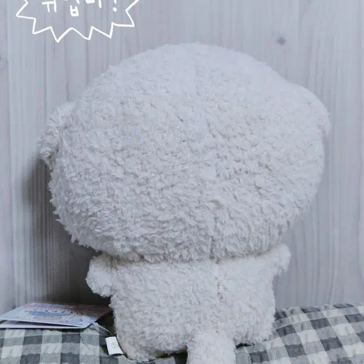 [BUNJANG] San-X Shiiya-chan Medium Plush / 산엑스 이시요와짱 중형 봉제 인형