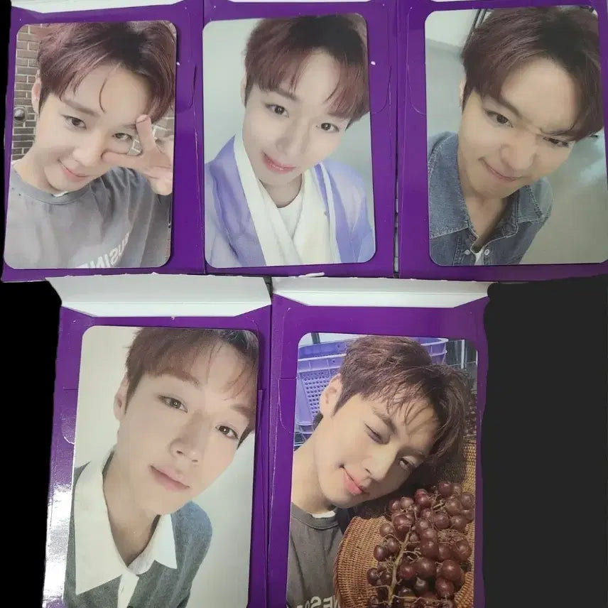 [BUNJANG] Park Ji Hoon The Venti Bundle Set Photocard / 더벤티 박지훈 포토카드 포카 5종 일괄