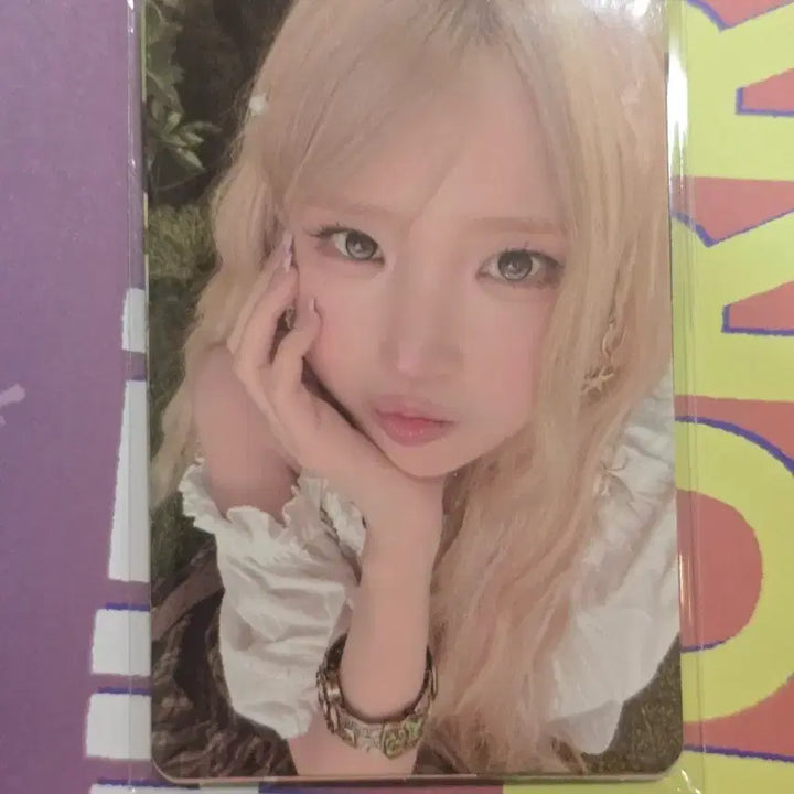 [BUNJANG] fromis_9 Concert Photocard Bundle Set / 프로미스나인 금콘 입장 포토카드 일괄) 플로버 포카 미공포 콘서트 첫콘 프나 프미나