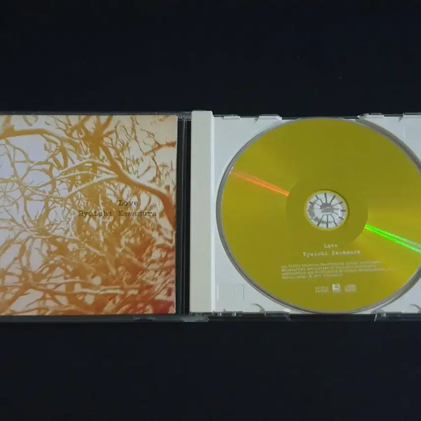 [BUNJANG] Ryuichi Kawamura 1st Album LOVE / 카와무라류이치 1집 앨범 LOVE 음반 루나씨