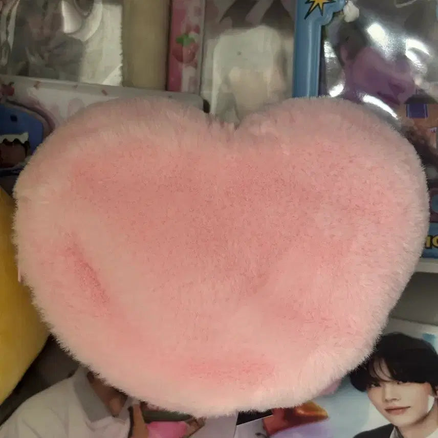 [BUNJANG] TWS Tourangi Wallet / 투어스 투랑이 지갑