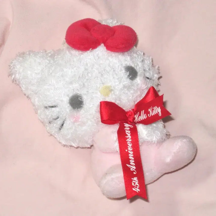 [BUNJANG] Sanrio Hello Kitty 45th Anniversary Mascot Plush Doll / 산리오 헬로 키티 45주년 마스코트 인형