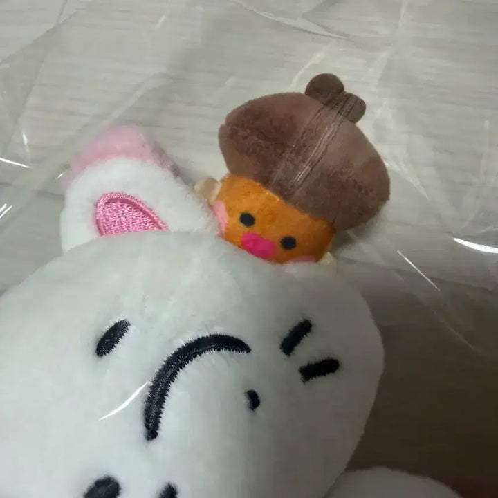 [BUNJANG] ENHYPEN ENCHINE KISHU Goods Bundle Set / 엔하이픈 엔친 키슈 굿즈 일괄