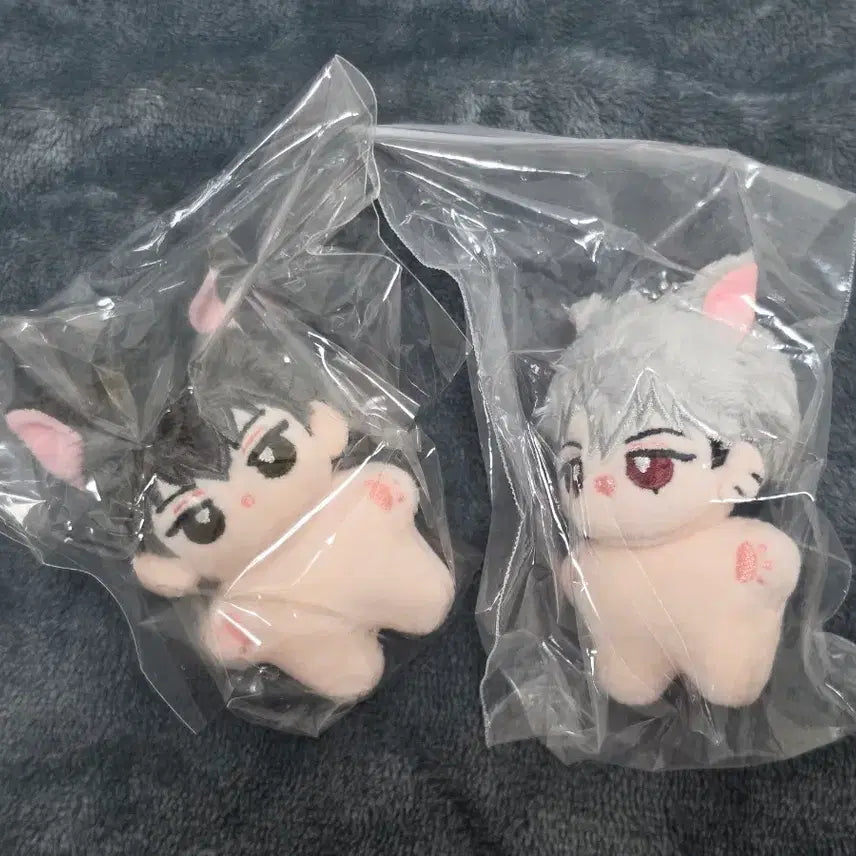 [BUNJANG] Myongdaengnyangzzu PLAVE Custom Doll (Unsealed) / 묭댕냥즈 플레이브 속성 비공굿 인형