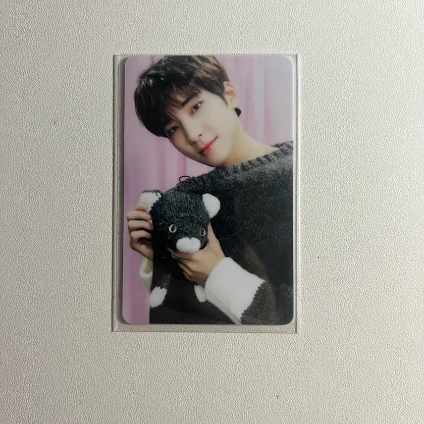 [BUNJANG] SEVENTEEN Wonwoo Dicon Photocard / 세븐틴  원우 디아이콘 포카