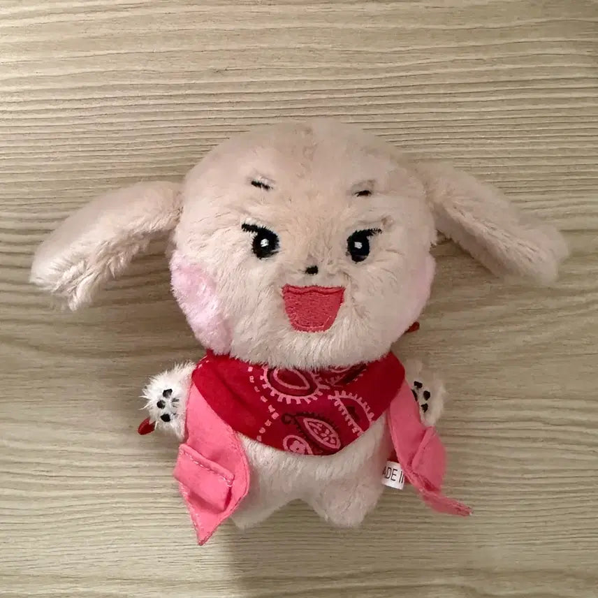 [BUNJANG] SEVENTEEN Dino Doll Bundle Set / 세븐틴 디노 인형 2개
