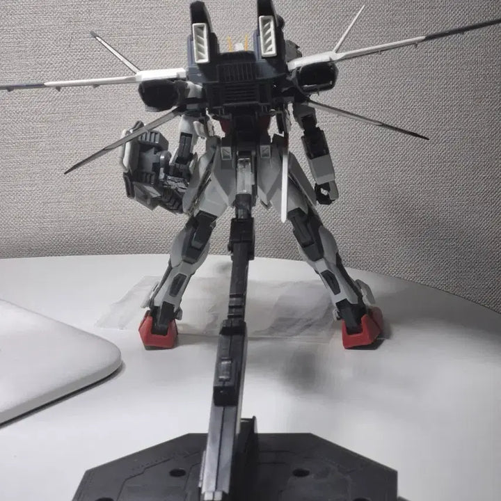 [BUNJANG] MG Strike Gundam IWSP / mg 스트라이크 iwsp