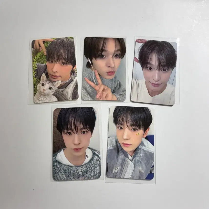 [BUNJANG] Riku Yuushi NCT Wish Photocard Bundle Set / 리쿠 유우시 포카 일괄 엔시티 위시