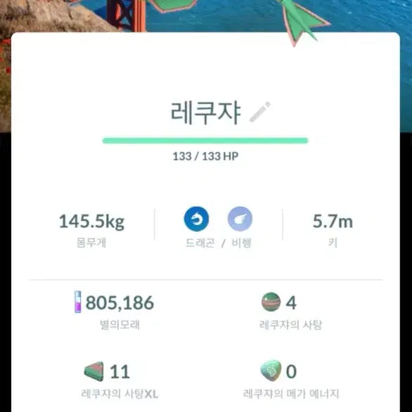 [BUNJANG] San Francisco Rayquaza / 샌프란시스코 레쿠쟈