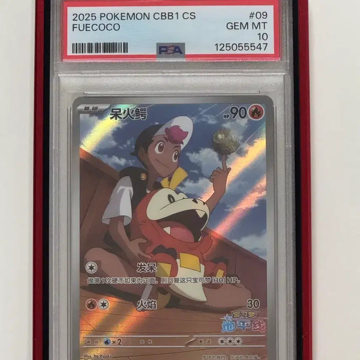 [BUNJANG] PSA 10 Graded Cards Assortment / 뜨아거 PSA10 등급카드 여러장