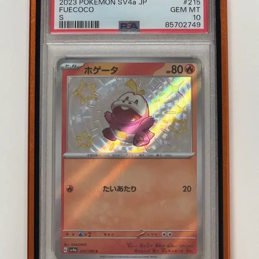 [BUNJANG] PSA 10 Graded Cards Assortment / 뜨아거 PSA10 등급카드 여러장