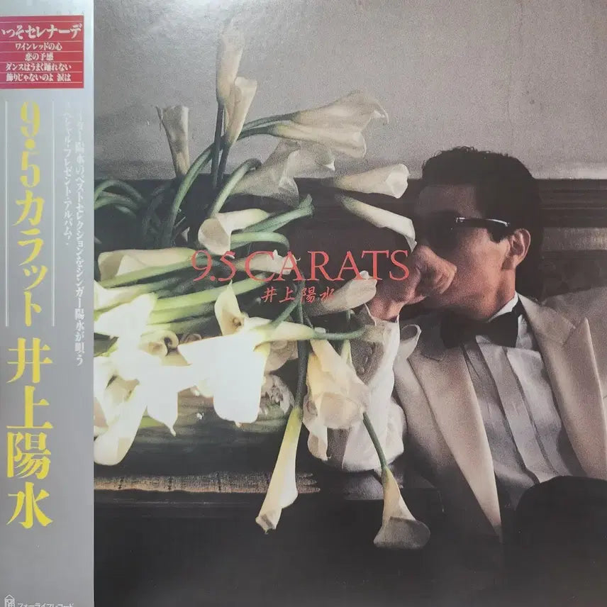 [BUNJANG] Yosui Inoue 9.5 Carats LP / 추천 시티팝 명반 이노우에 요스이 Yosui Inoue 9.5 Carats LP