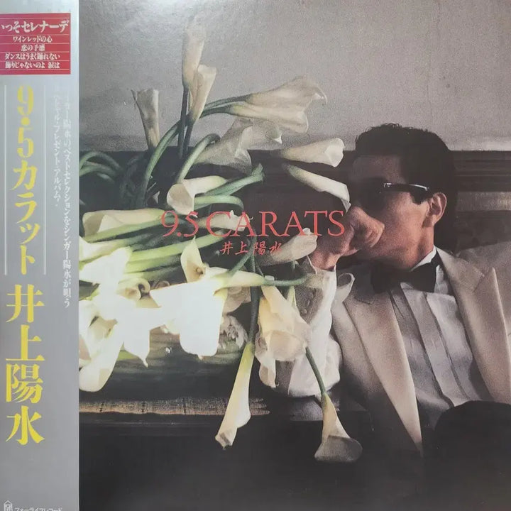[BUNJANG] Yosui Inoue 9.5 Carats LP / 추천 시티팝 명반 이노우에 요스이 Yosui Inoue 9.5 Carats LP