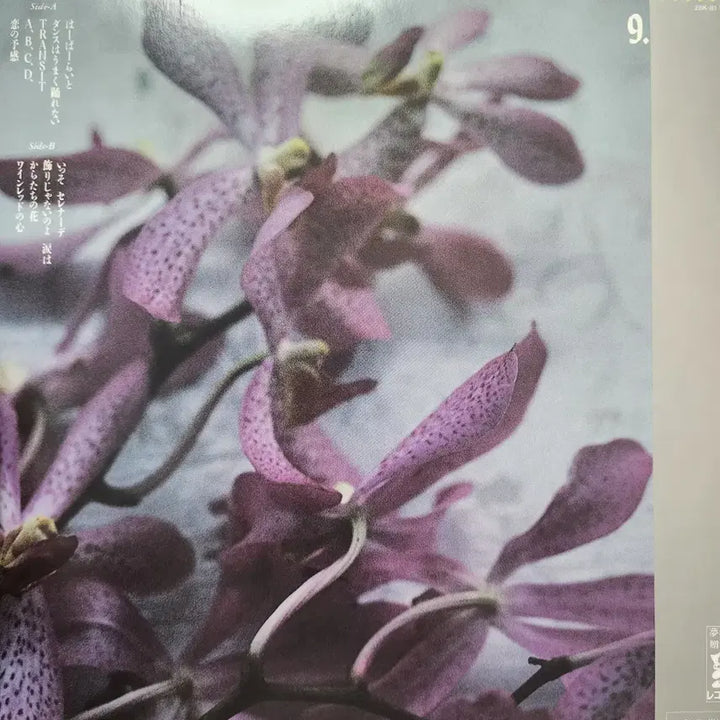 [BUNJANG] Yosui Inoue 9.5 Carats LP / 추천 시티팝 명반 이노우에 요스이 Yosui Inoue 9.5 Carats LP