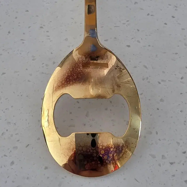 [BUNJANG] Gold Spoon with Case / 골드 스푸너 + 케이스