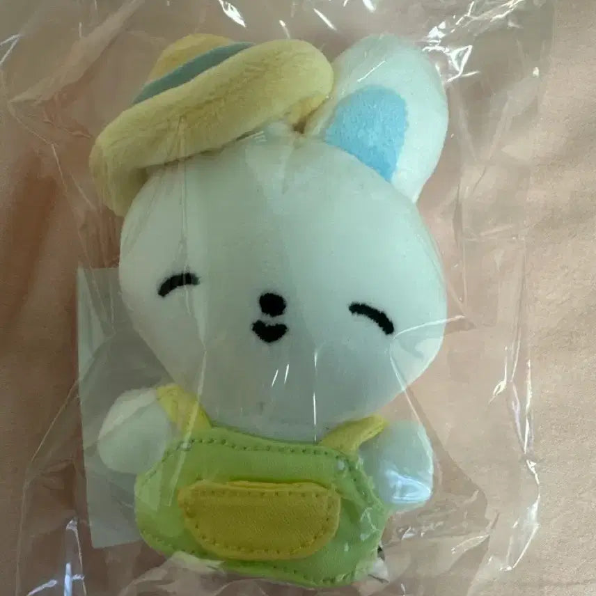 [BUNJANG] NCT x ANDERSSON BELL 2024 Pop-up MD Plush Doll / 앤더블 앤버스 팝업 엠디 인형 양도