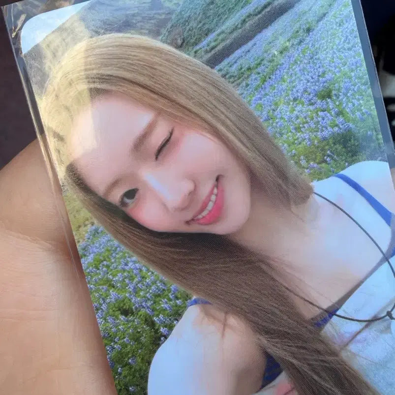[BUNJANG] Tuide Elena Lucky Draw Photocard / 튜이드 엘레나 공방 포카 포토카드 2주차 tuide pc poca
