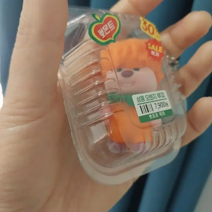 [BUNJANG] Sylvanian Families Surprise Luffy Keyring / 서프라이즈 루피 실바니안