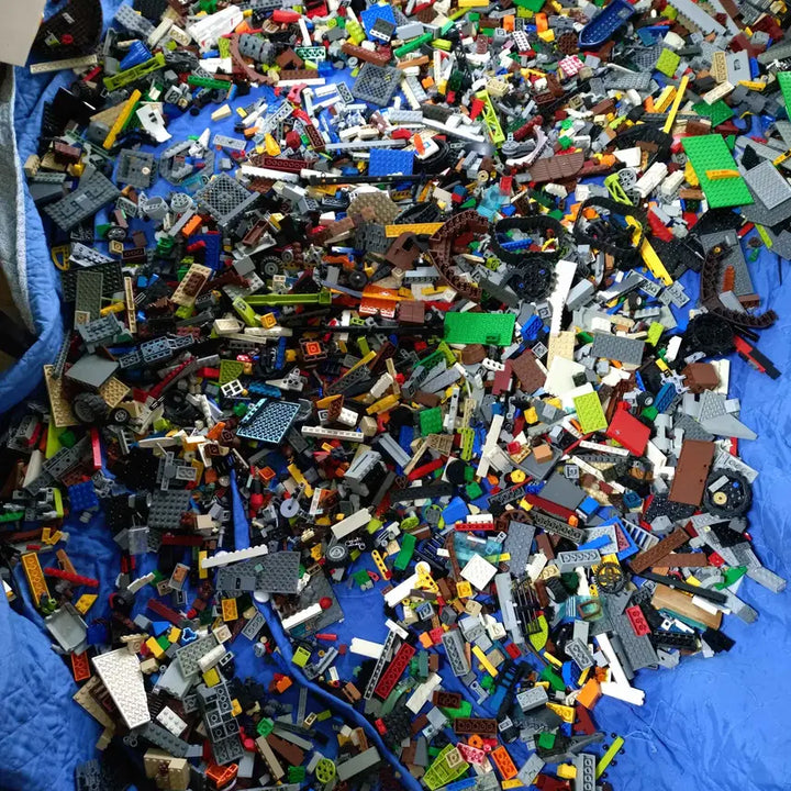 [BUNJANG] LEGO Bulk Bricks (20kg) / 레고 대용량벌크 판매합니다.