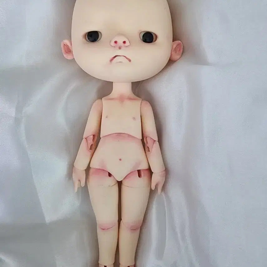 [BUNJANG] Ali Cloth Doll for Makeup Practice and Dressmaking / 알리  상니