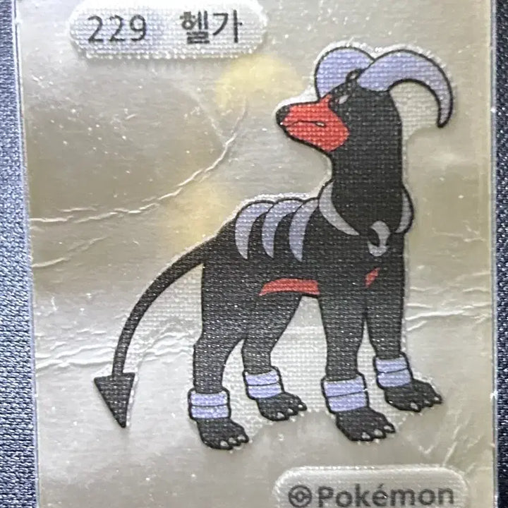 [BUNJANG] Pokemon 3-Digit Ttibusel 