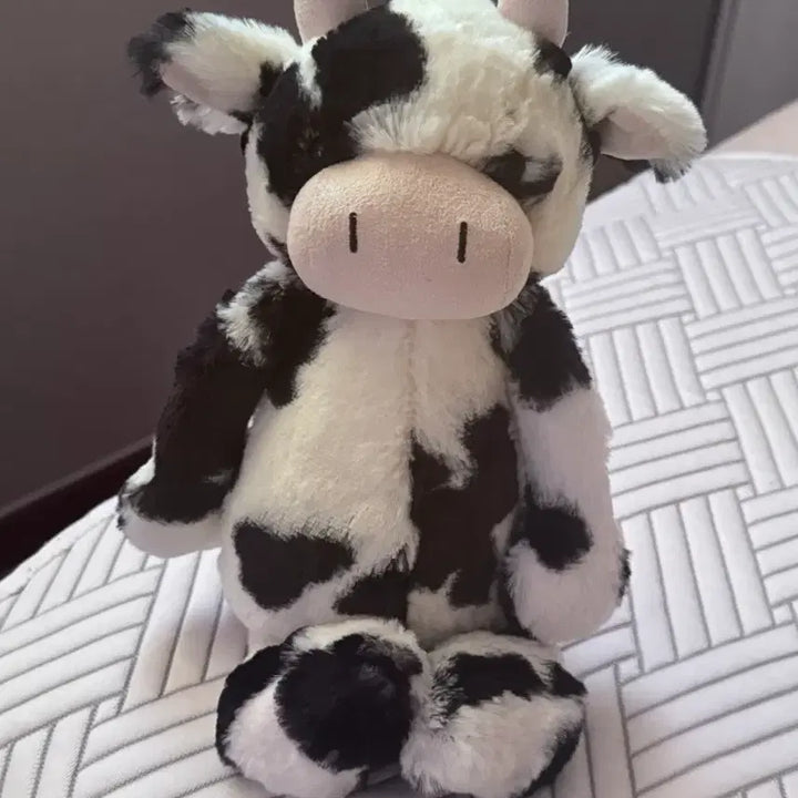 [BUNJANG] Jellycat Bashful Calf Plush Toy (Authentic) / jellycat 바쉬풀 카프 젤리캣 정품