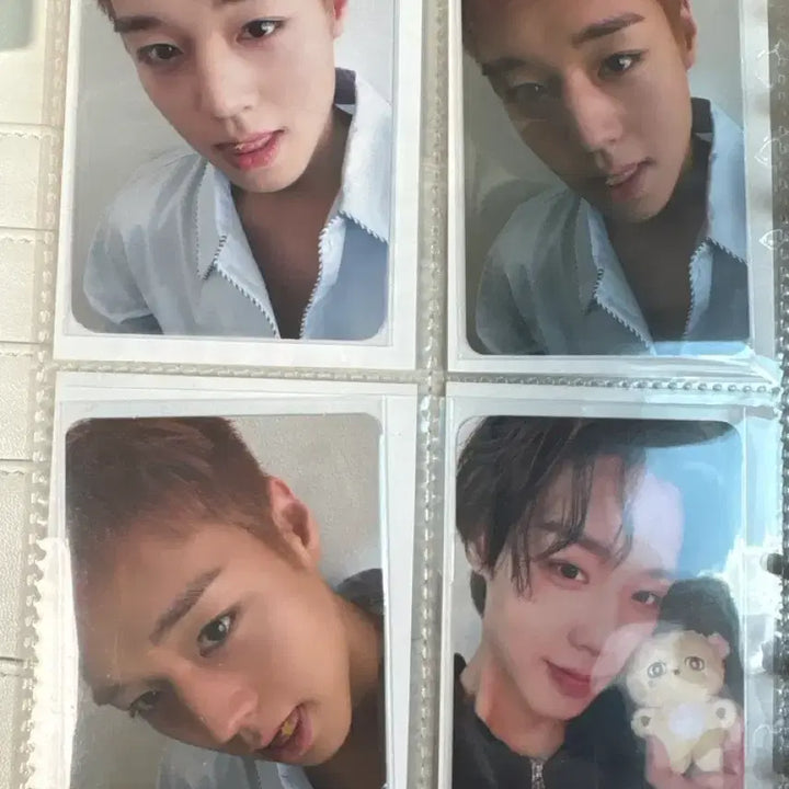 [BUNJANG] Park Jihoon Photocard Bundle Set + So-sim-i (Unsealed) / 박지훈 포카 일괄 + 소심이(개봉) 판매 급처