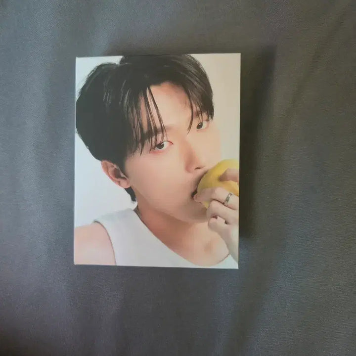 [BUNJANG] SEVENTEEN Dino Photocard / 캐럿반 디노