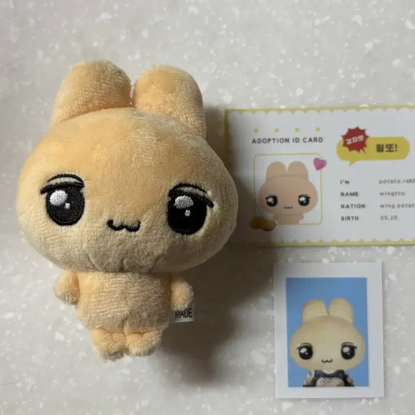 [BUNJANG] Park Ji Hoon Wing-Tto Doll (Unsealed) / 박지훈 윙또 비공식 개봉 양도(급처)
