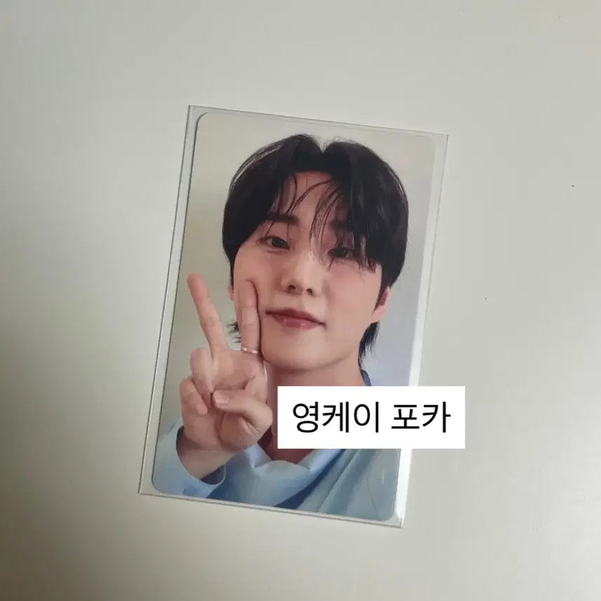 [BUNJANG] DAY6 Young K Photocard / 데이식스 영케이 포카 판매