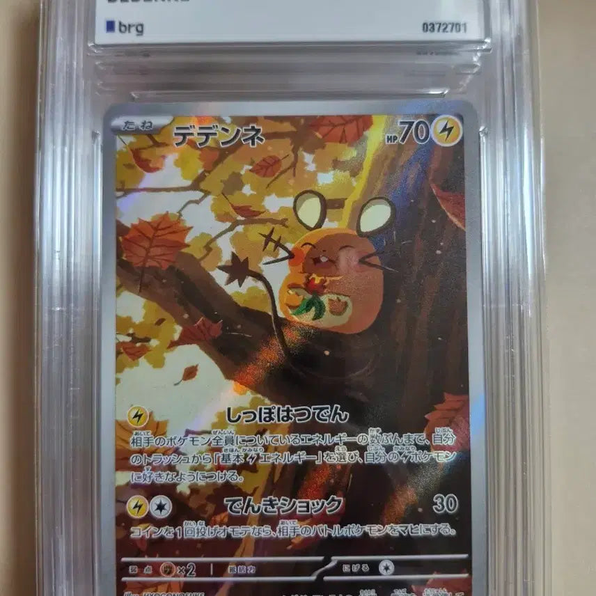[BUNJANG] Mewtwo "Mega Evolution" SAR BRG Graded Trading Cards / 메가개굴닌자 등 BRG 등급카드 팝니다 레어카드 희귀카드 ar