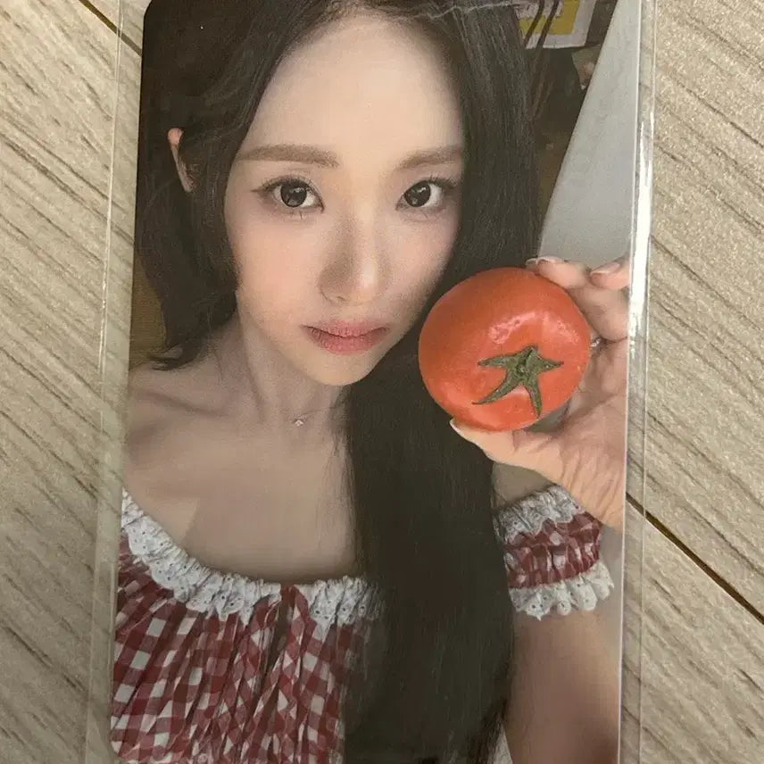 [BUNJANG] fromis_9 Concert Photocard / 프로미스나인 콘서트 포카
