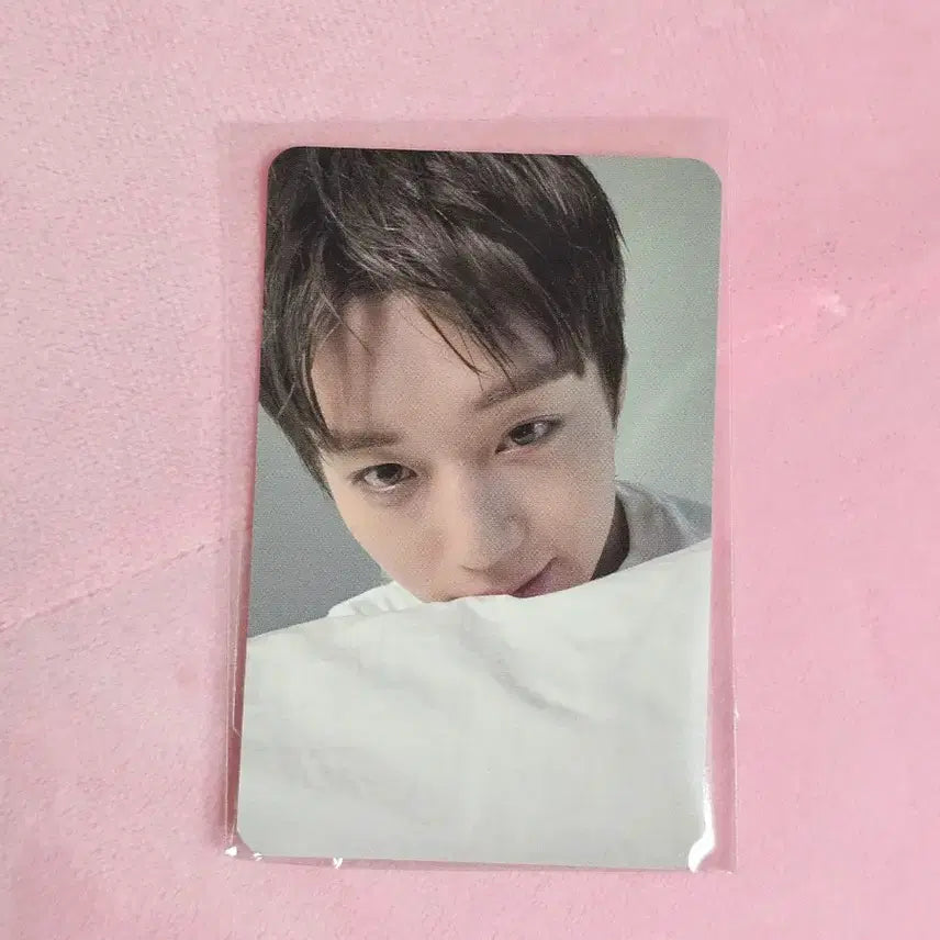 [BUNJANG] Park Jihoon Forment Blanket Photocard / 박지훈 포맨트 이불포카
