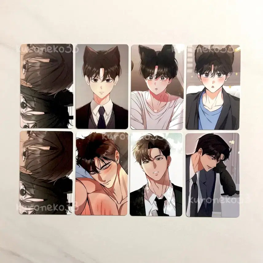 [BUNJANG] Cat Therapy Photocard Bundle Set / 고양이 테라피 랜덤 포카 일괄 냥테 포토카드 마플샵