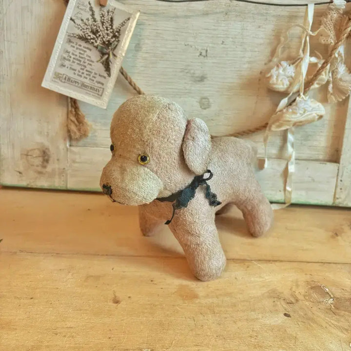 [BUNJANG] Vintage Teddy Bear Dog Plush / 레어) 빈티지 테디베어 강아지 인형