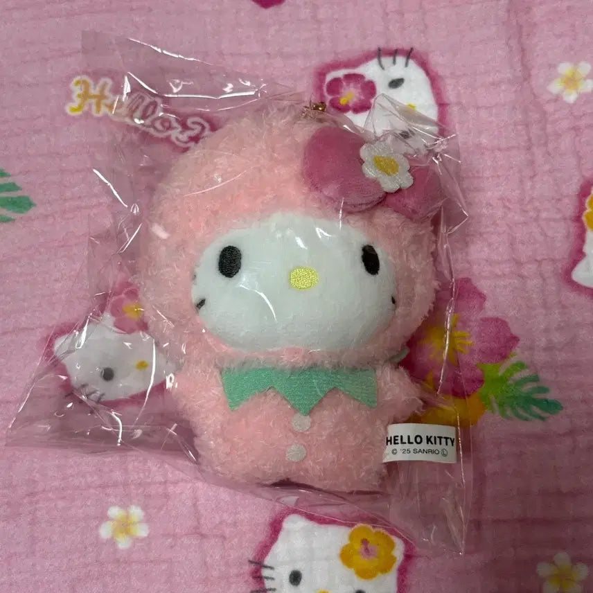 [BUNJANG] Sanrio Monyugurumi Strawberry Kitty Plush / 산리오 무뉴구루미 딸기 키티