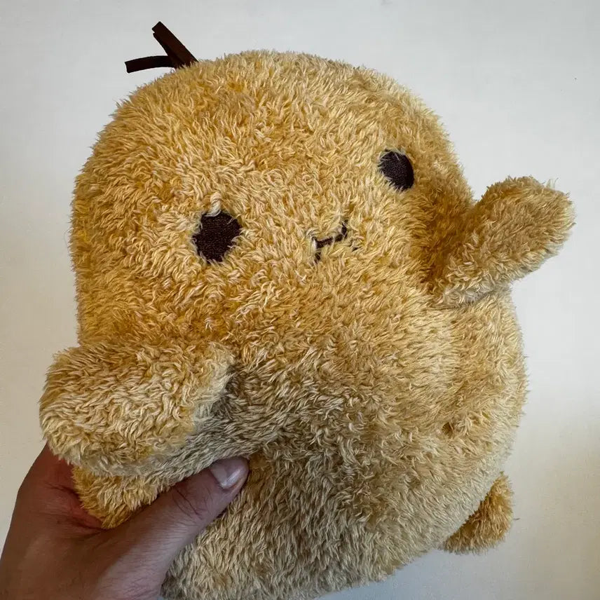[BUNJANG] Pokemon Squirtle Plush (S Grade) / 부들부들 말랑말랑 포켓몬스터 꼬부기 인형 (S급)