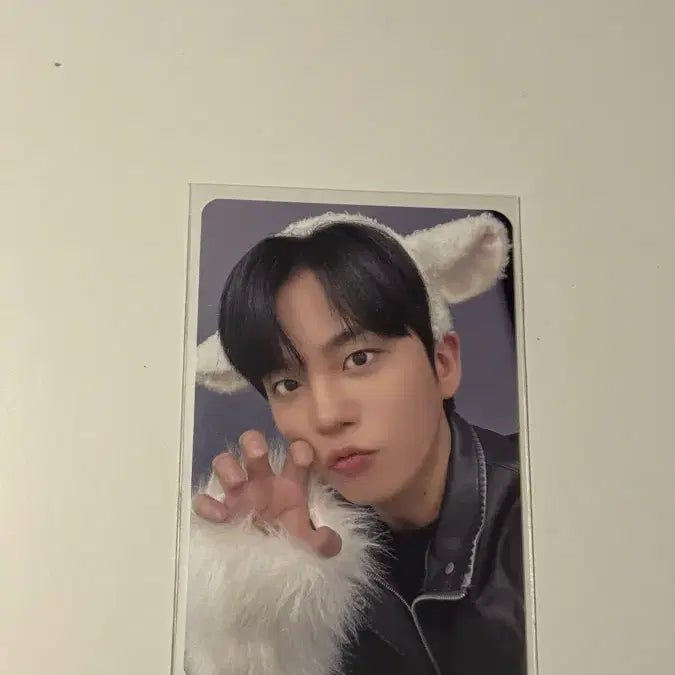 [BUNJANG] ATEEZ Bosongtiz Jongho Photocard / 에이티즈 보송티즈 종호