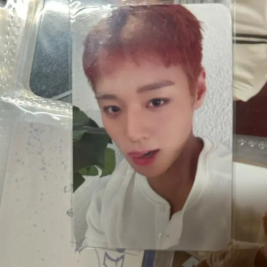 [BUNJANG] Park Jihoon Photocard / 박지훈 포카 팔아요