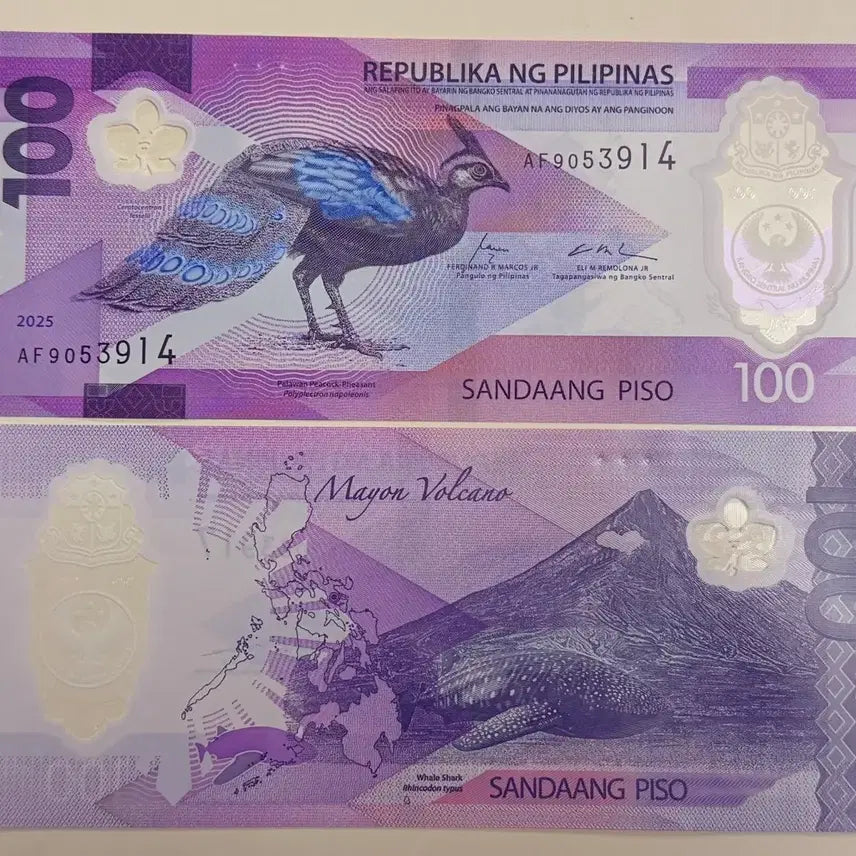 [BUNJANG] Philippines 2025 100 Piso Polymer Banknote Uncirculated / 필리핀 2025  100페소 완전미사용 폴리머