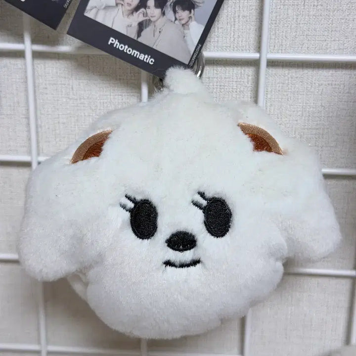 [BUNJANG] BAMGUIT Coin Pouch / 밤긋 동전 파우치