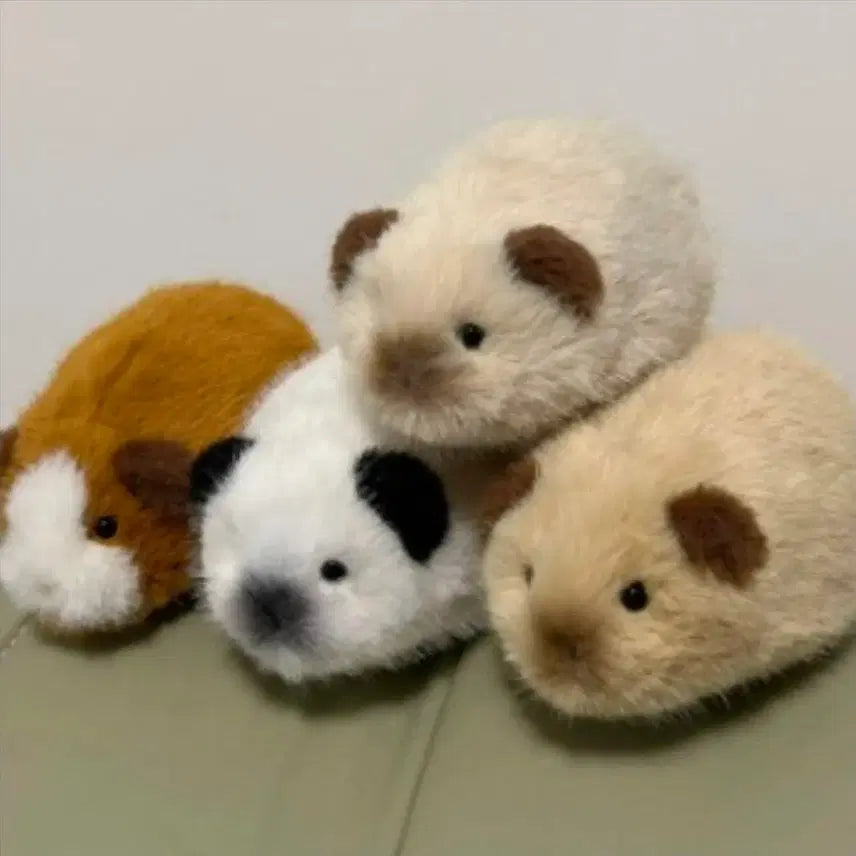 [BUNJANG] Handmade Guinea Pig Plush / 찜X) 구매가 이하 양도 수제 기니피그 인형