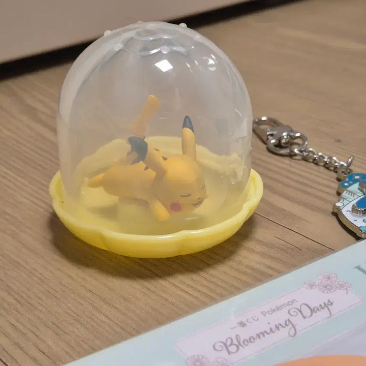 [BUNJANG] Pokemon Goods Bundle Set / [일괄] 포켓몬 굿즈