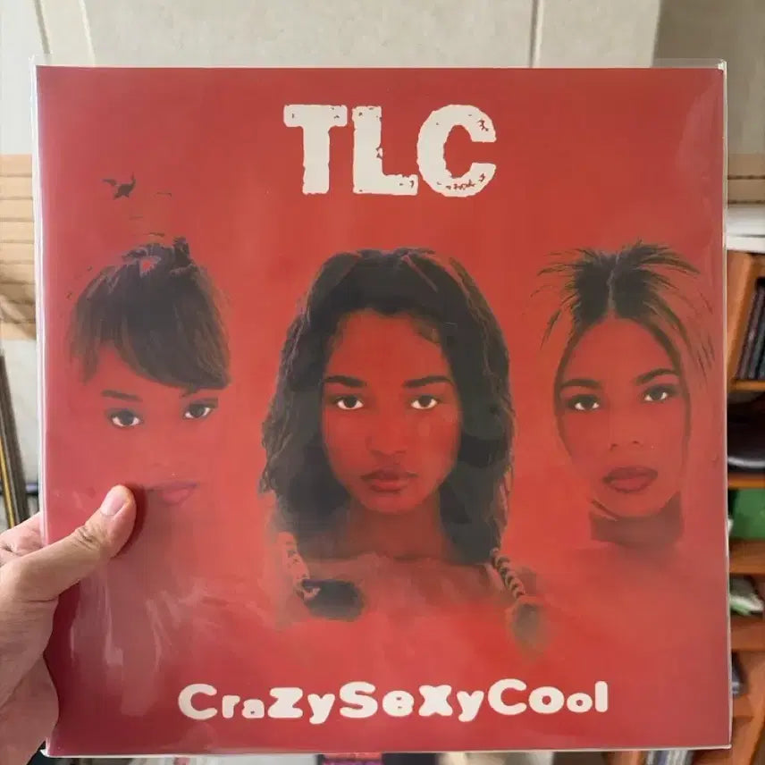 [BUNJANG] TLC CrazySexyCool 2012 US Edition LP / Tlc crazysexycool 2012,미국반