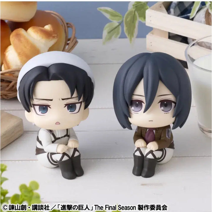 [BUNJANG] Attack on Titan Levi Sweeper Ver. Special Edition (Sealed) / (미개봉) 진격의거인 리바이 룩업 청소 ver 특전 포함