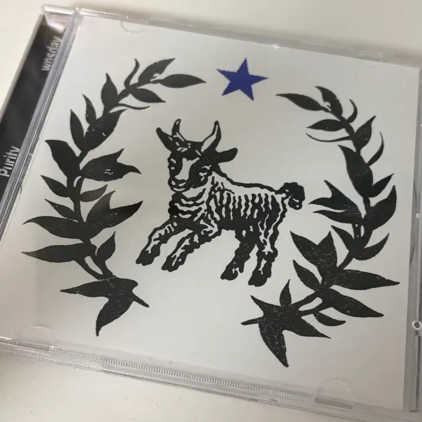 [BUNJANG] Matthew Purity Signed Album CD / 매튜 퓨리티 싸인반CD